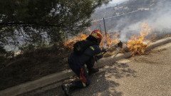Големият пожар край Атина е поставен под контрол