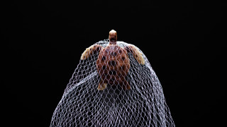 За всички тези векове еволюция и прогрес човекът е успял