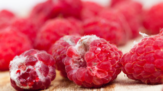 В разгара на лятото когато пазарите изобилстват от различни плодове