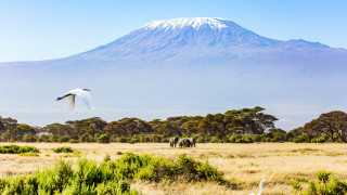 Килиманджаро е най високата планина в Африка а най високата