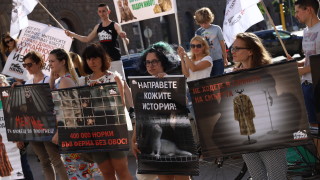 Протест срещу избиването на животни с ценни кожи в столицата