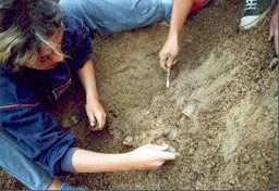 Археолози откриха древно селище край село Баните