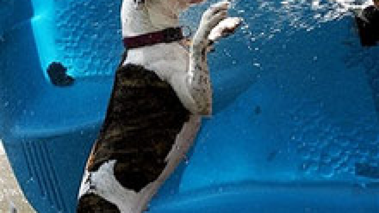 Изображение 4286