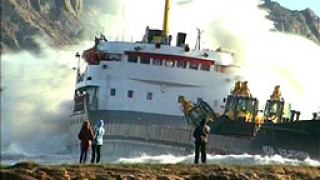 30 хиляди птици вече са мъртви