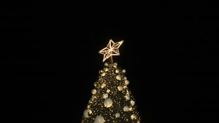 Грейна централната коледна елха на София съобщава БНР Светлините ѝ бяха