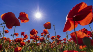 Днес ще преобладава слънчево време около и след обяд с