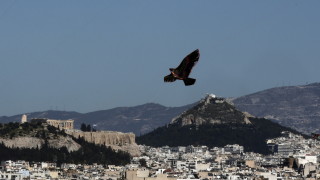 Гръцките банки очакват възстановяване на пазара на ипотечни кредити през