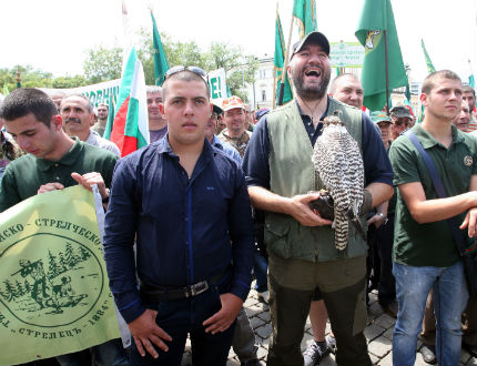 Изображение 186286