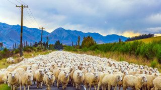 Борис Джонсън е призован да спре да играе руска рулетка