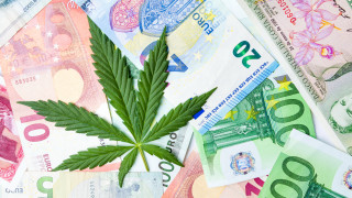 Банкерите се навъртат около растящия европейски пазар на канабис