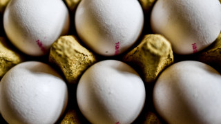 В Белгия знаели за заразените яйца още в началото на юни