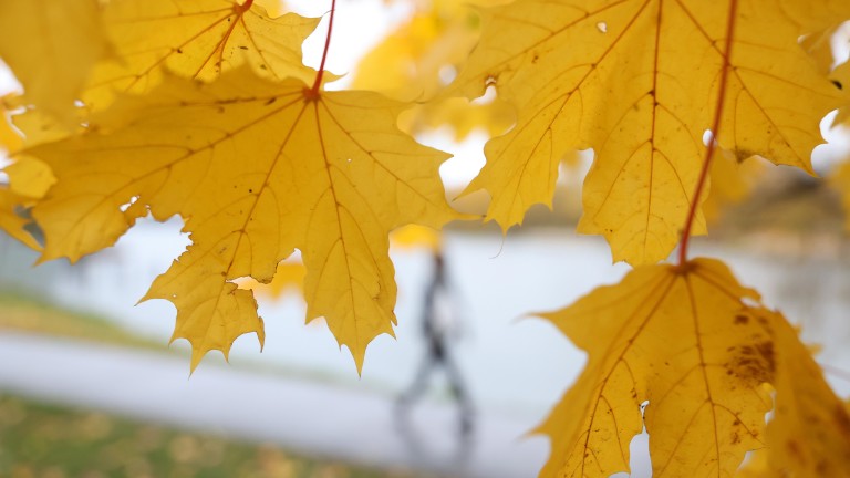 Дъждовен уикенд