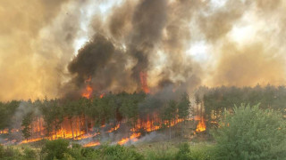 Горски пожар гори в Старозагорско