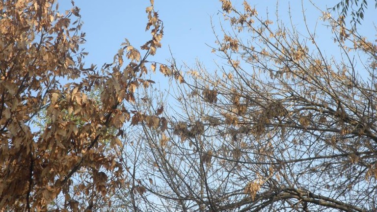 Слънчево и ветровито начало на седмицата