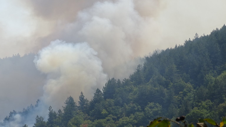 Изображение 309586