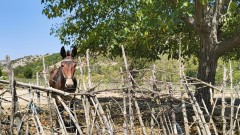 Кърджалийските Източни Родопи – надценени, подценени… изумителни