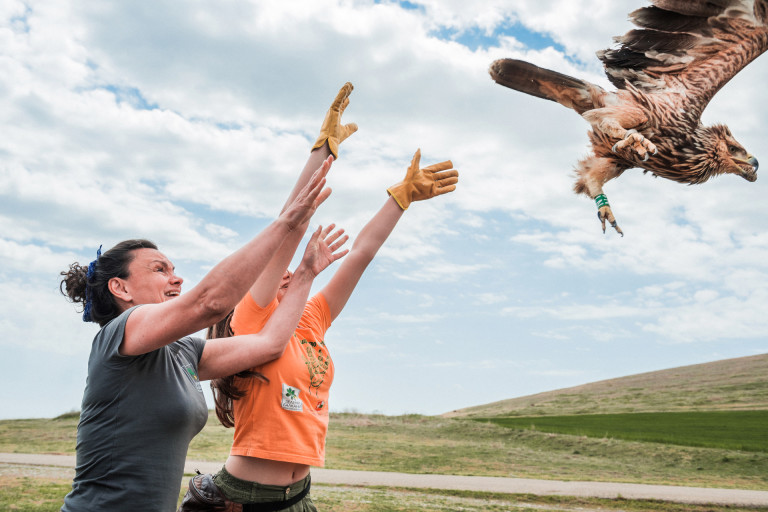 Екип на Спасителен център за диви птици на „Зелени балкани” освобождава в природата излекуван царски орел