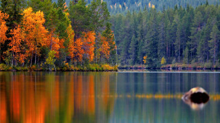 Това ли е най-красивата есен
