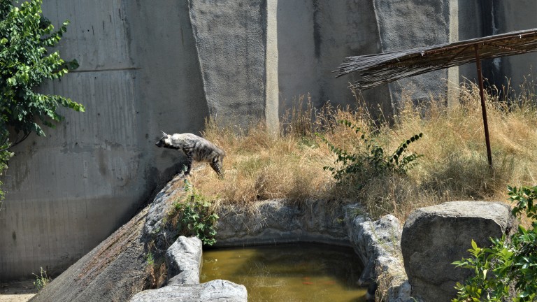 Изображение 540587