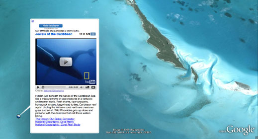 National Geographic подпомага "Google Earth - Океан"