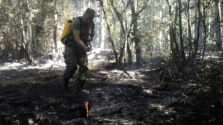 Военен хеликоптер отново се включва в гасенето край Розино