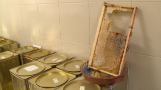 България започва процедура за износ на пчелен мед за Иран