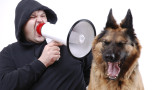 Кучетата и защо не бива да им крещим и да ги наказваме
