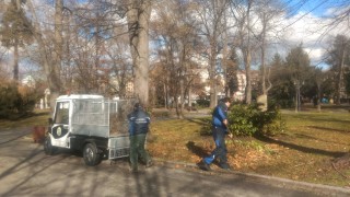 Две нови електрически мини камиончета вече работят по поддържането на