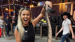 В днешно време се оказва че всеки който иска да