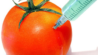 България единна срещу ГМО