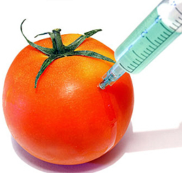 В Русия приравниха ГМО към тероризъм