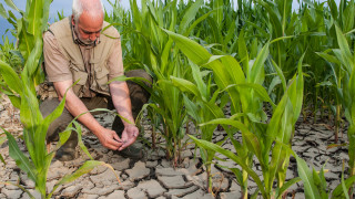 1 млн. долара в минута: Земеделските субсидии разрушават света