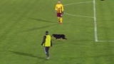 Made in Bulgaria: Бездомно куче прекрати мач от Първа лига (ВИДЕО)
