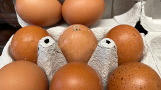 В момента около 10 от яйцата в търговската мрежа имат