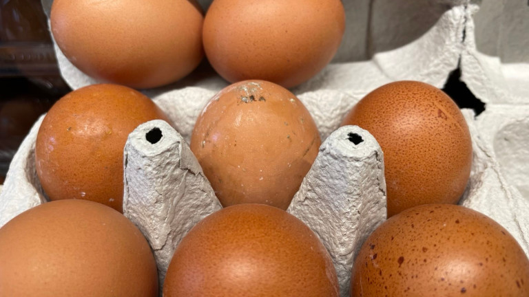 Изображение 683687