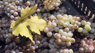 Екипи на пазарджишката полиция и жандармерията започват да патрулират в