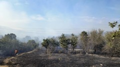 Над 100 000 дка изгоряха в Югоизточна България