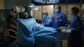 Изминаха повече от два месеца от премиерата на осми сезон