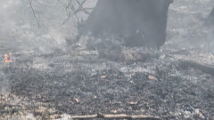 Пожарът в Гърция до границата ни вече не е активен