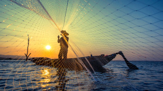 Човек прегърнал току що уловена 30 килограмова златна риба не е гледка