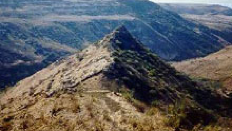 Изображение 26587