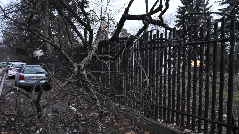 Изображение 746987