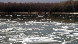 Ледоходът по Дунав намалява