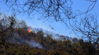 Потушиха пожара край Симитли, нов гори край Елхово