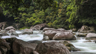 До края на октомври в Община Разлог почистват всички речни