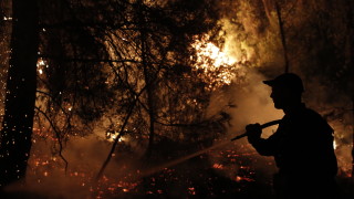 ЕК: Пожари засягат повече държави от когато и да било