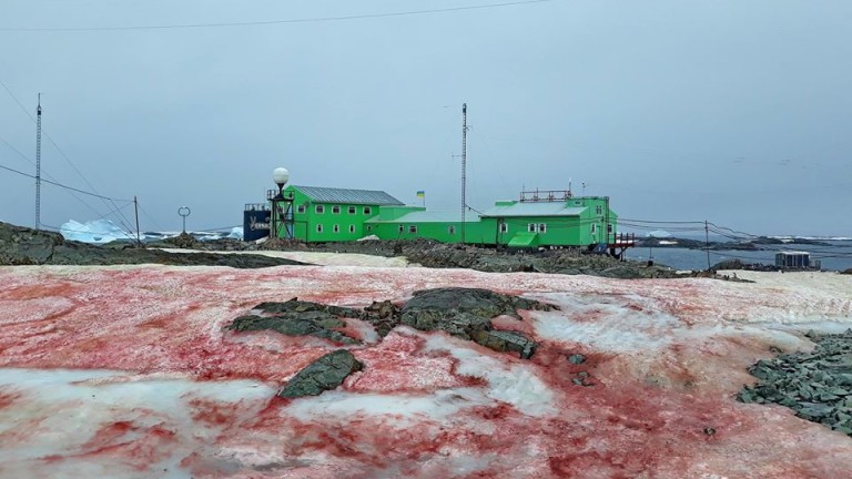 Какво се случи в украинската база в Антарктида