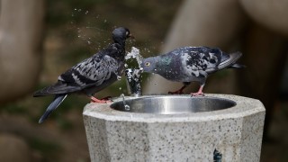 Днес ще бъде предимно слънчево Това съобщават от НИМХ След обяд