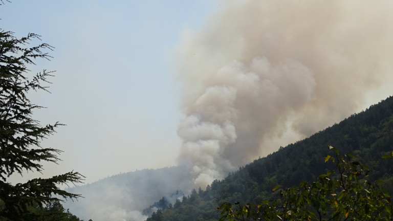 Изображение 309587