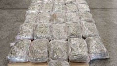 Хванаха 337 кг. марихуана на КГПП "Капитан Андреево"